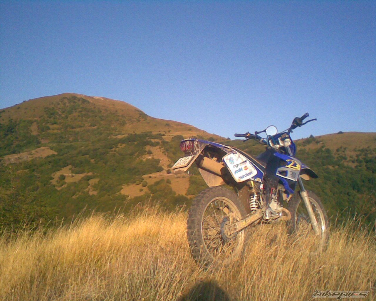 2002 BETA RR 50 | Picture 1506922 motorcycle photo