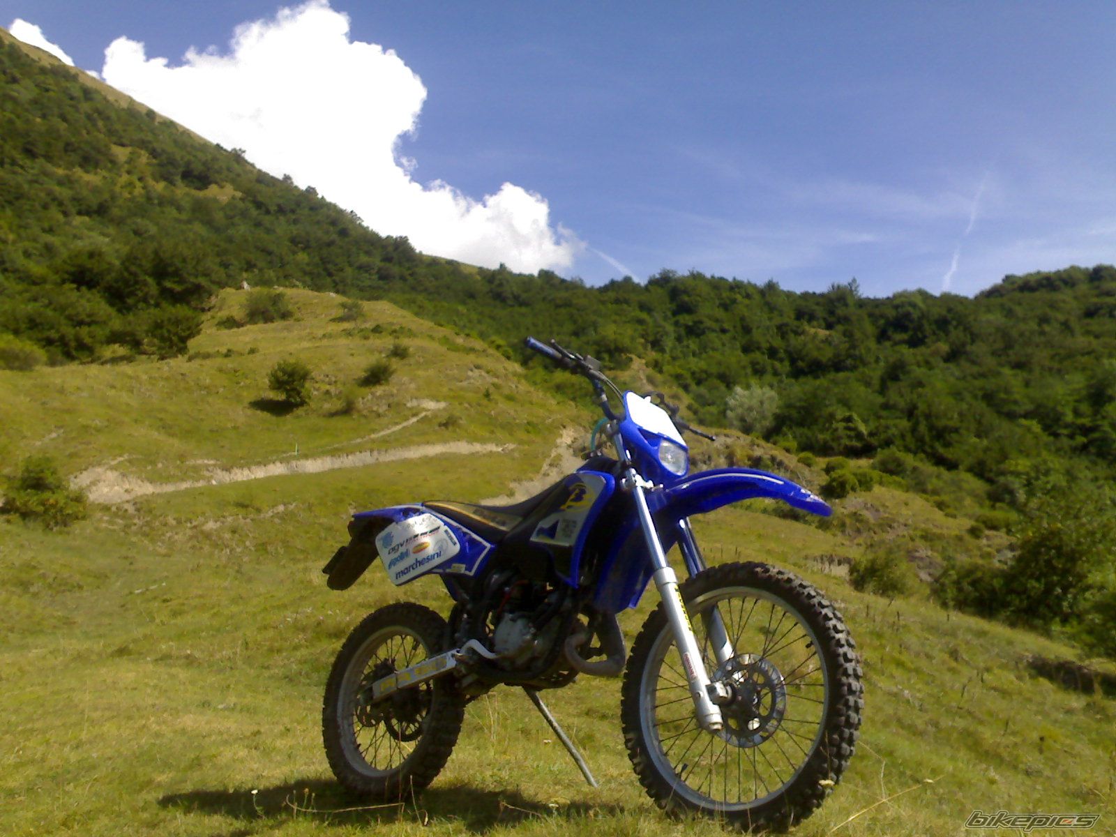 2002 BETA RR 50 | Picture 1506980 motorcycle photo