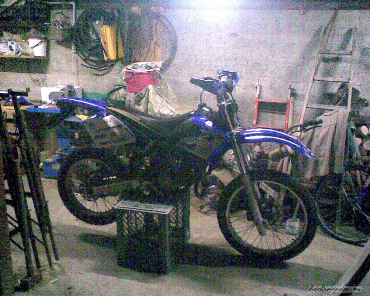 2002 BETA RR 50 | Picture 1507003 motorcycle photo