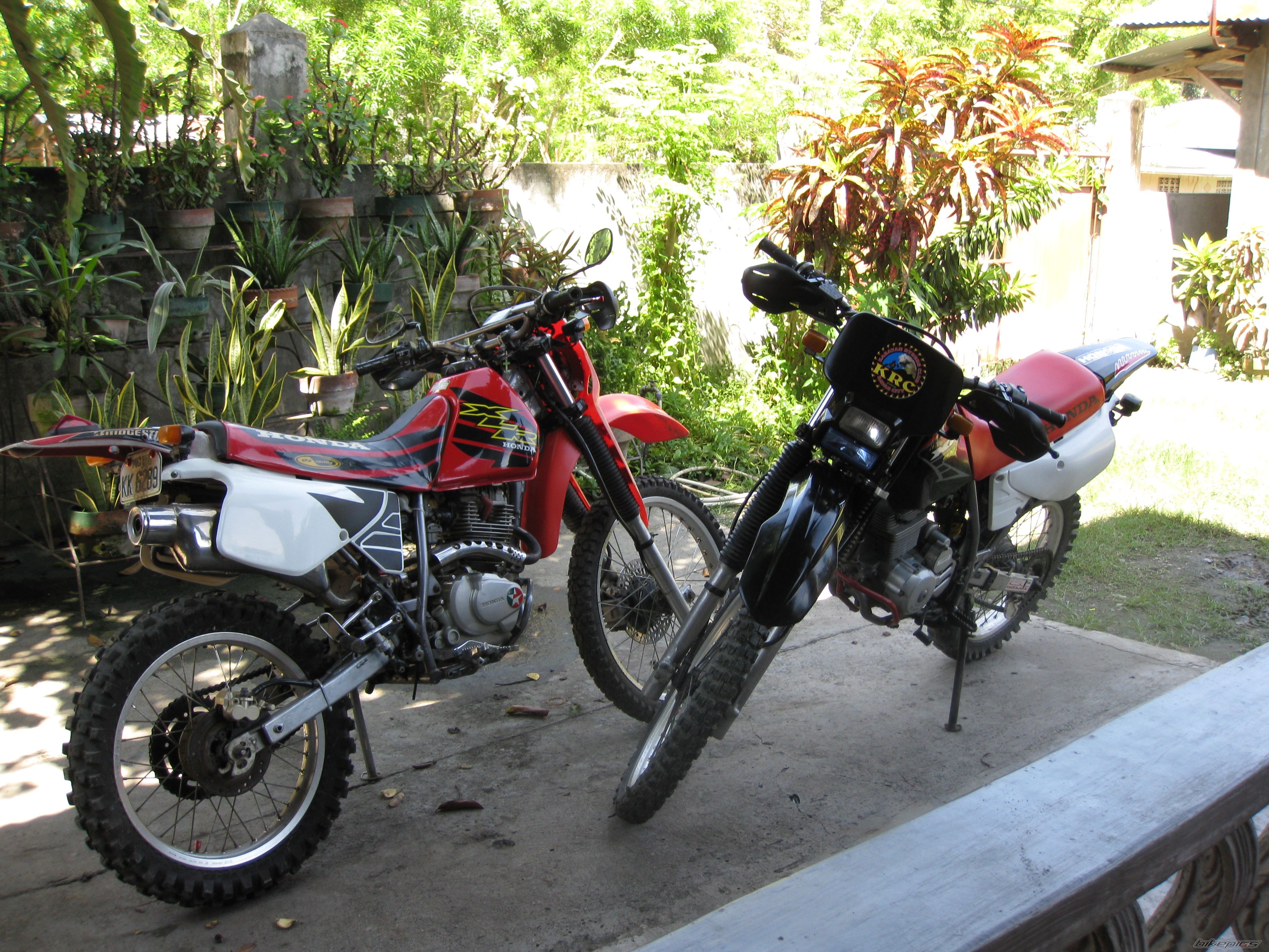 2008 HONDA XR 200 | Picture 1507214 motorcycle photo