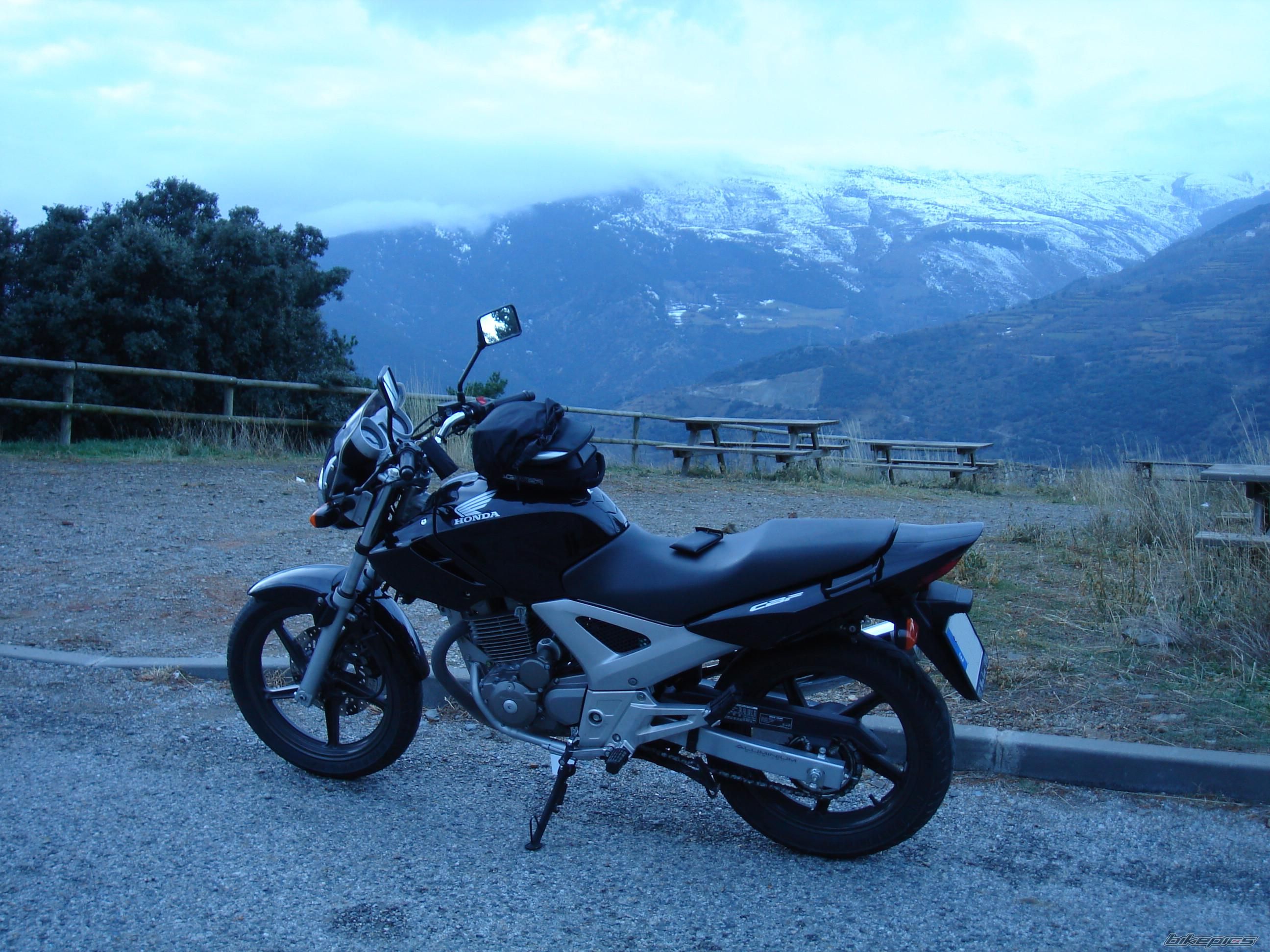 2006 HONDA CBF 250 | Picture 1507589 motorcycle photo