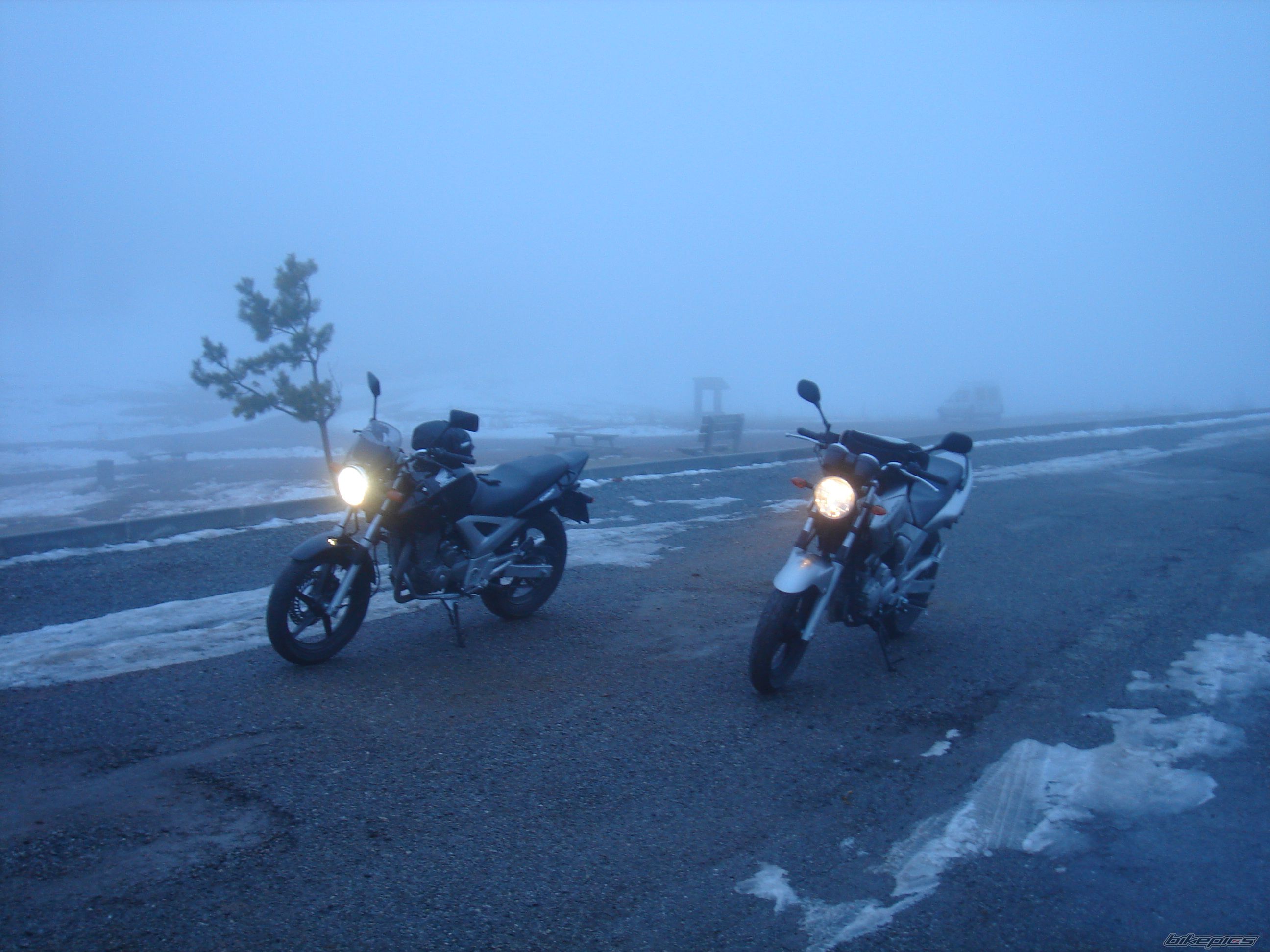 2006 HONDA CBF 250 | Picture 1507591 motorcycle photo