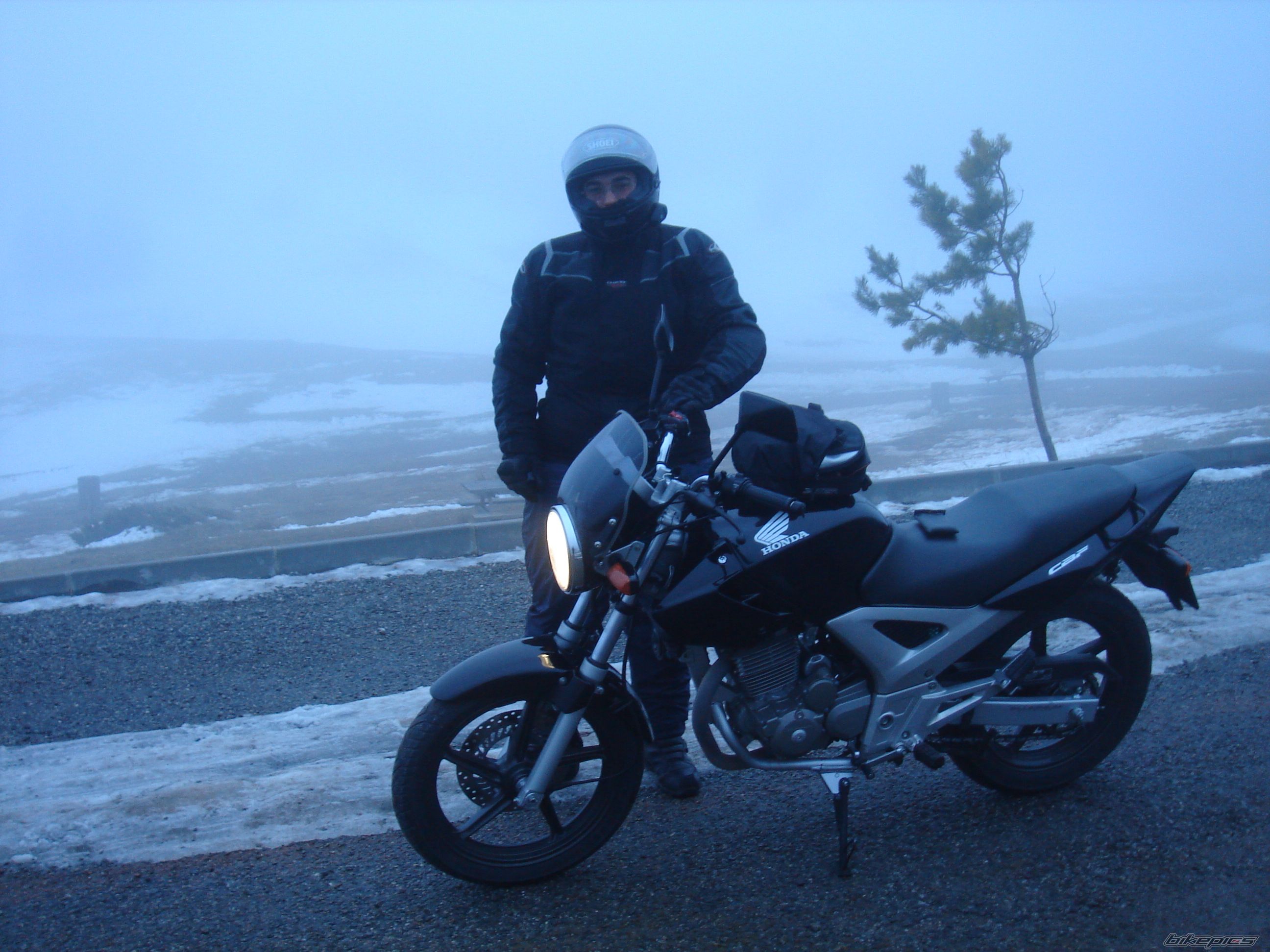 2006 HONDA CBF 250 | Picture 1507592 motorcycle photo