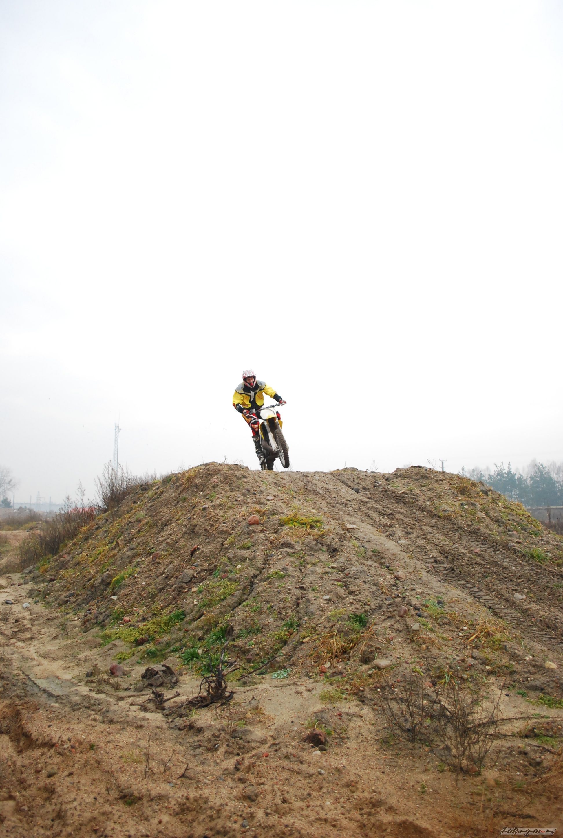 2003 SUZUKI RM 250 | Picture 1508453 motorcycle photo