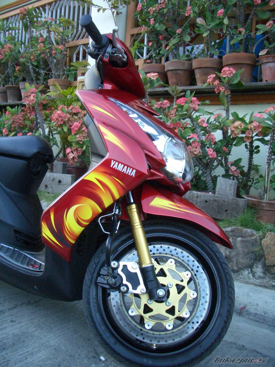 2008 YAMAHA MIO | Picture 1509023 motorcycle photo