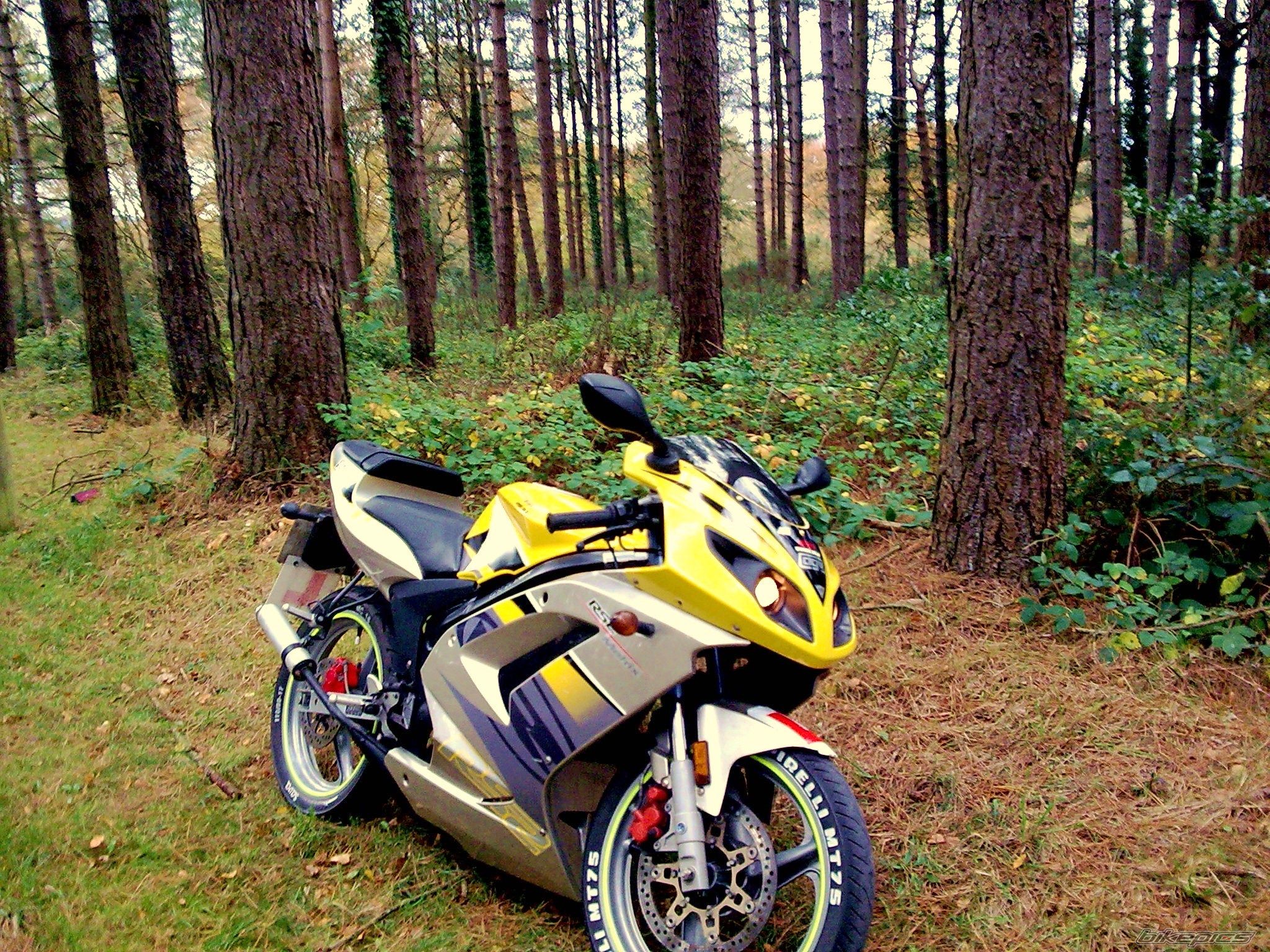 2004 RIEJU RS2 MATRIX | Picture 1509282 motorcycle photo