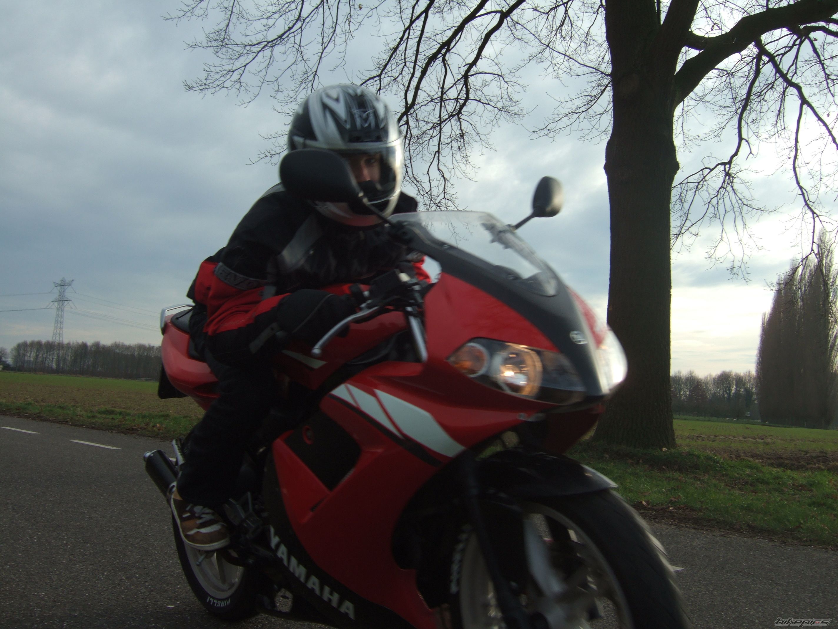 2003 YAMAHA TZR 50 | Picture 1509304 motorcycle photo