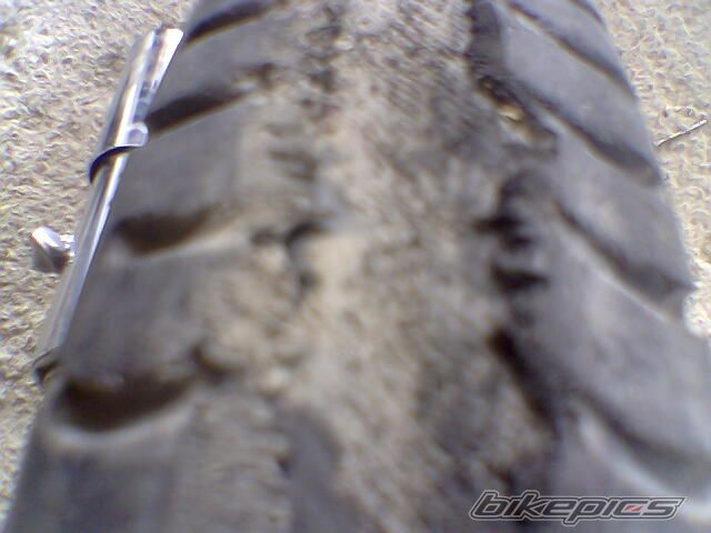 2009 HONDA GLX 50 | Picture 1509466 motorcycle photo
