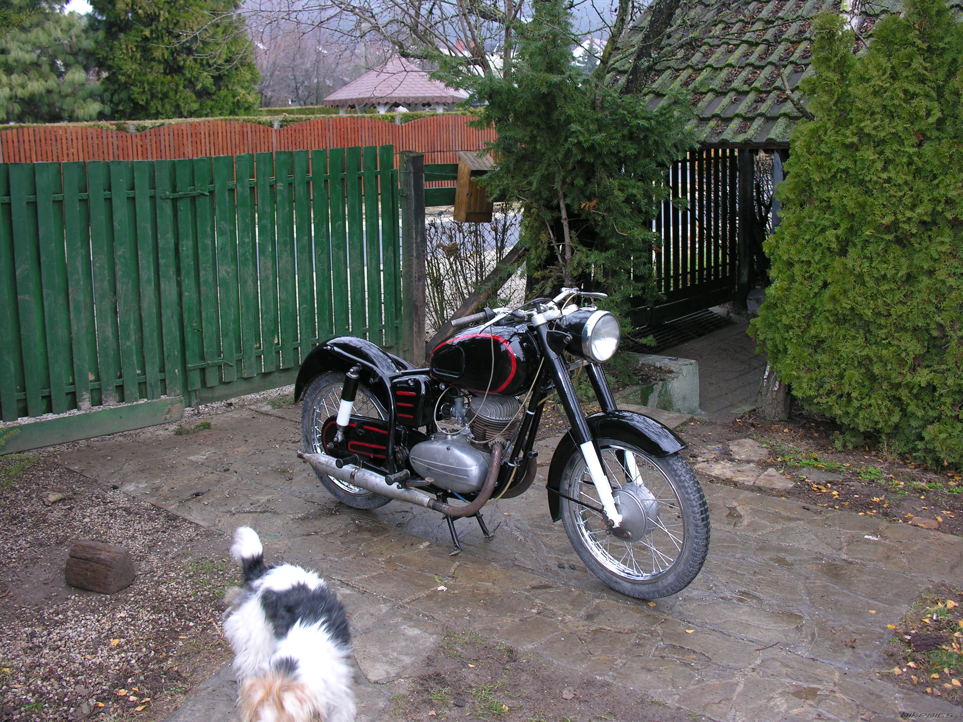 1969 PANNONIA T5 | Picture 1510016 motorcycle photo