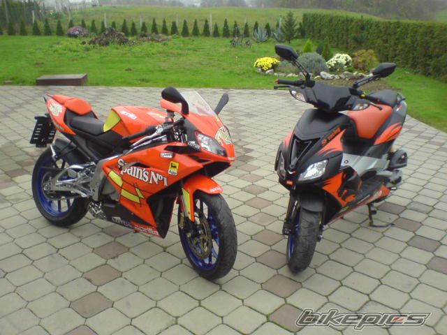 2007 APRILIA RS 125 | Picture 1511107 motorcycle photo