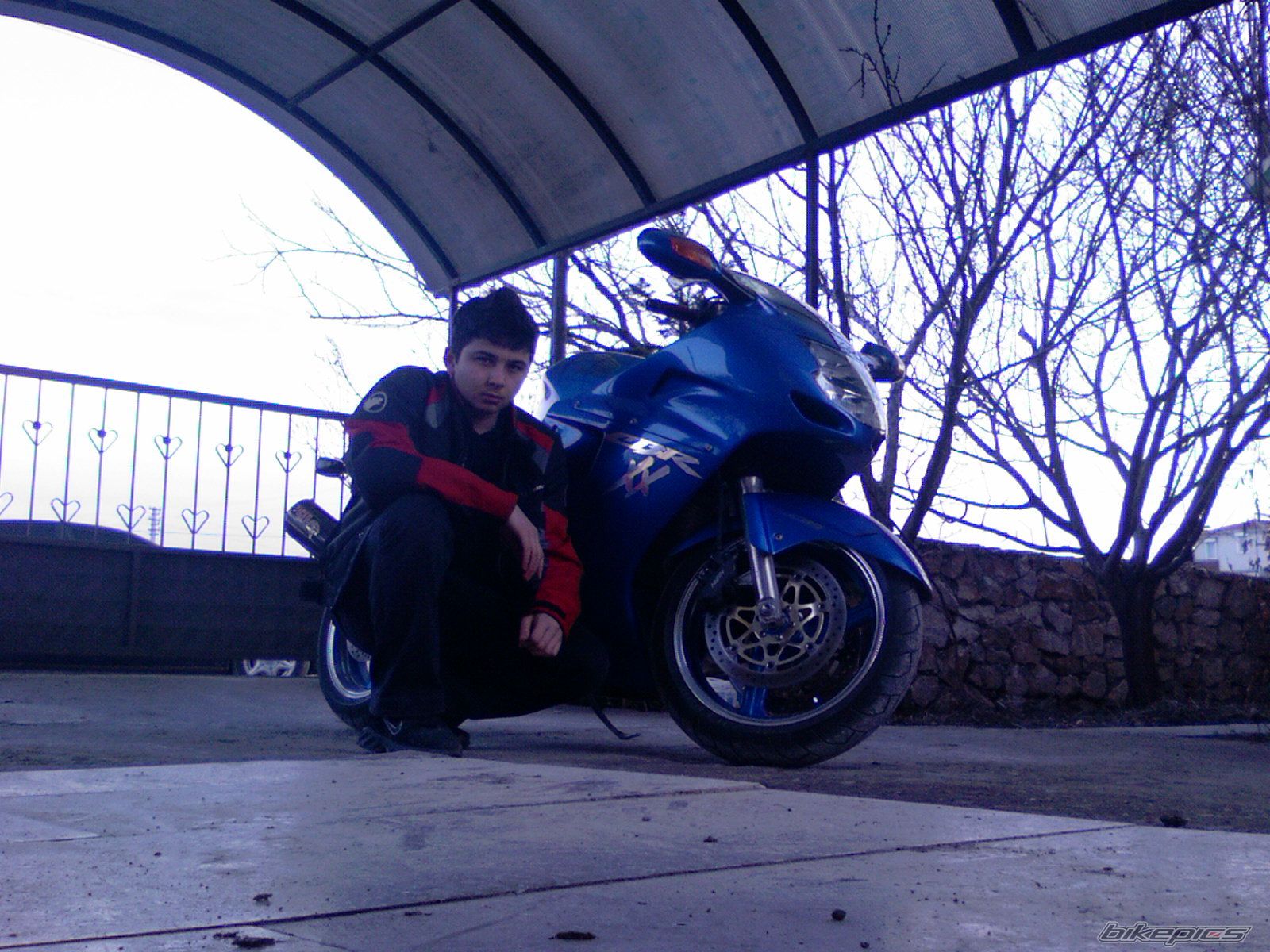 2005 HONDA CBR 1100 BLACKBIRD | Picture 1511174 motorcycle photo