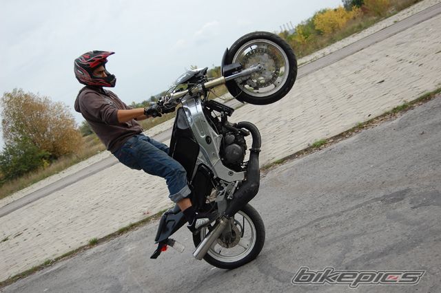 1992 YAMAHA TZR 125 | Picture 1511974 motorcycle photo