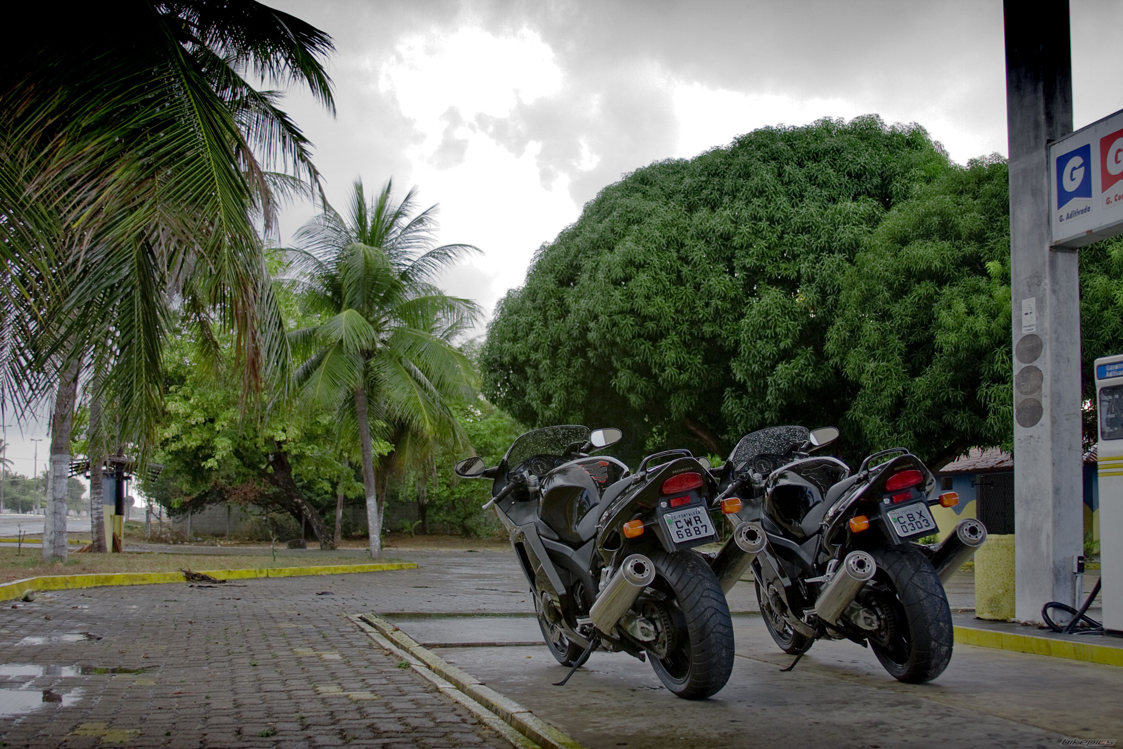 1998 HONDA CBR 1100 BLACKBIRD | Picture 1512243 motorcycle photo