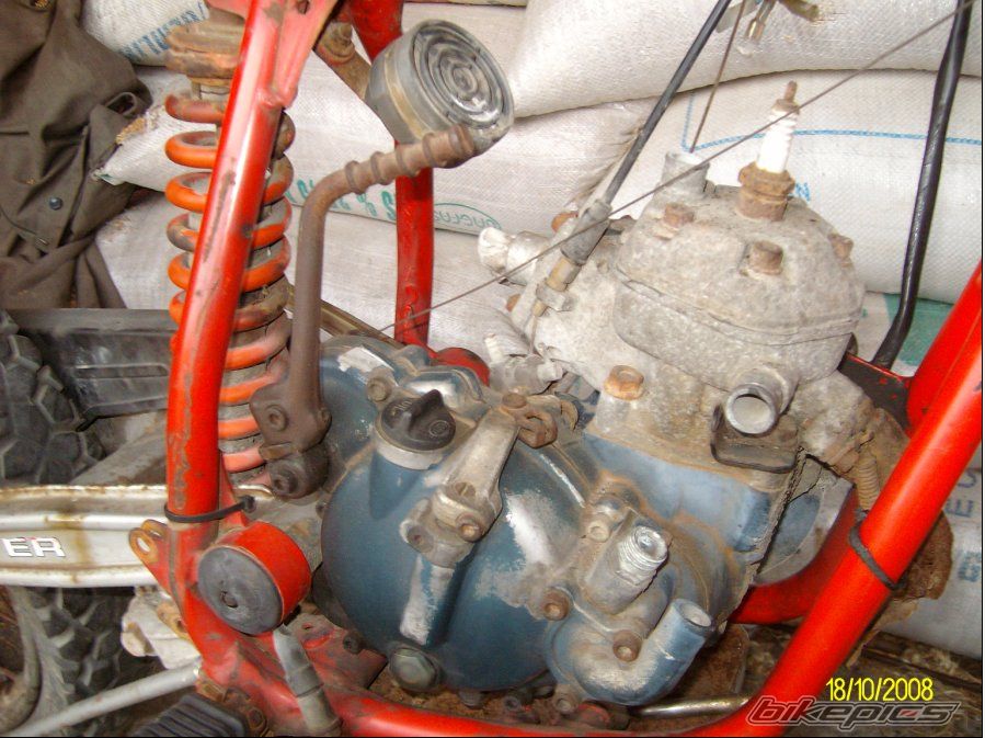 1986 KTM GXE 50 | Picture 1512640 motorcycle photo