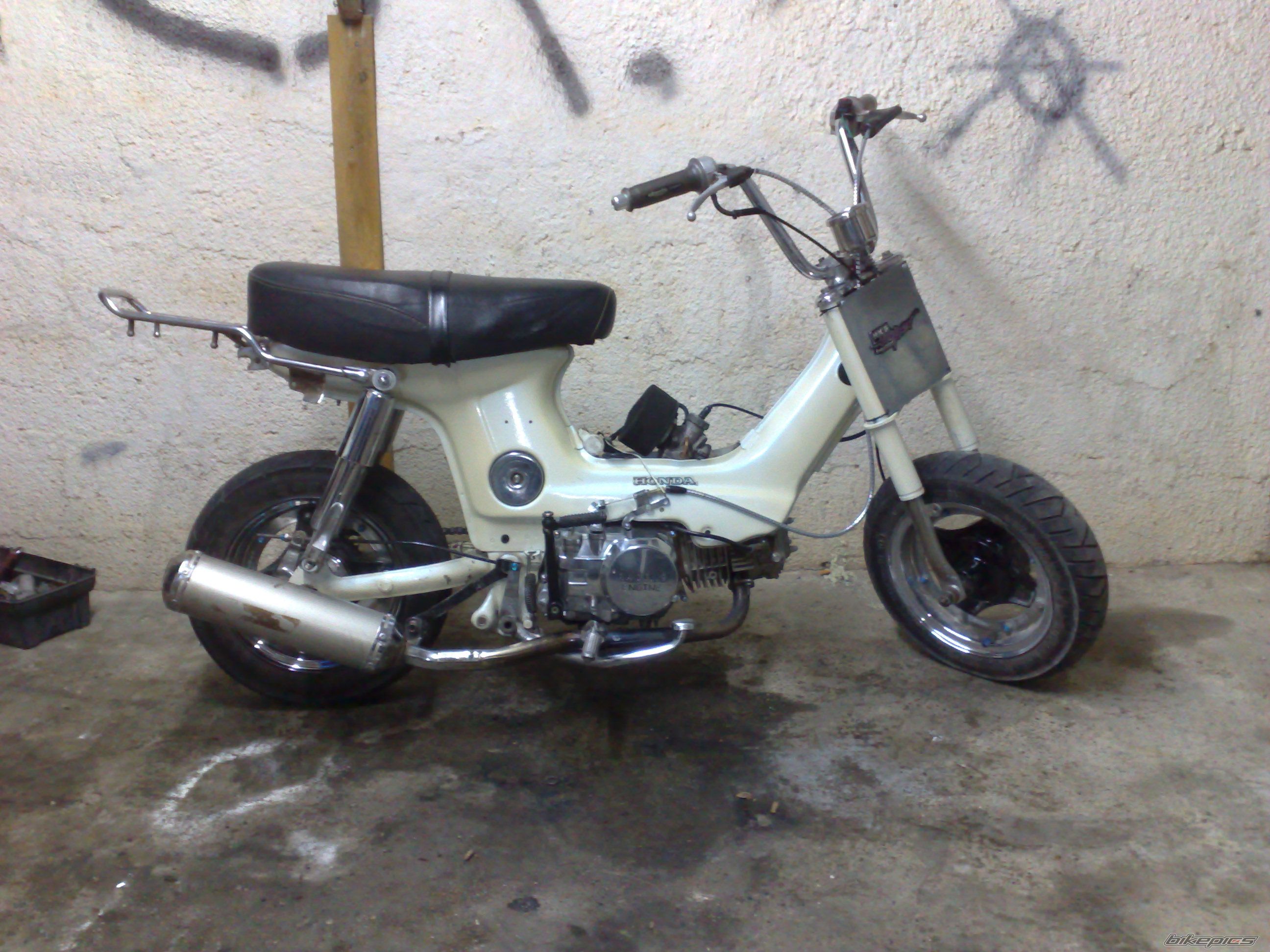 2009 HONDA CHALY | Picture 1512801 motorcycle photo