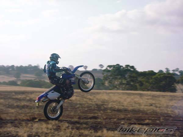 2003 YAMAHA WR 250F | Picture 151287 motorcycle photo