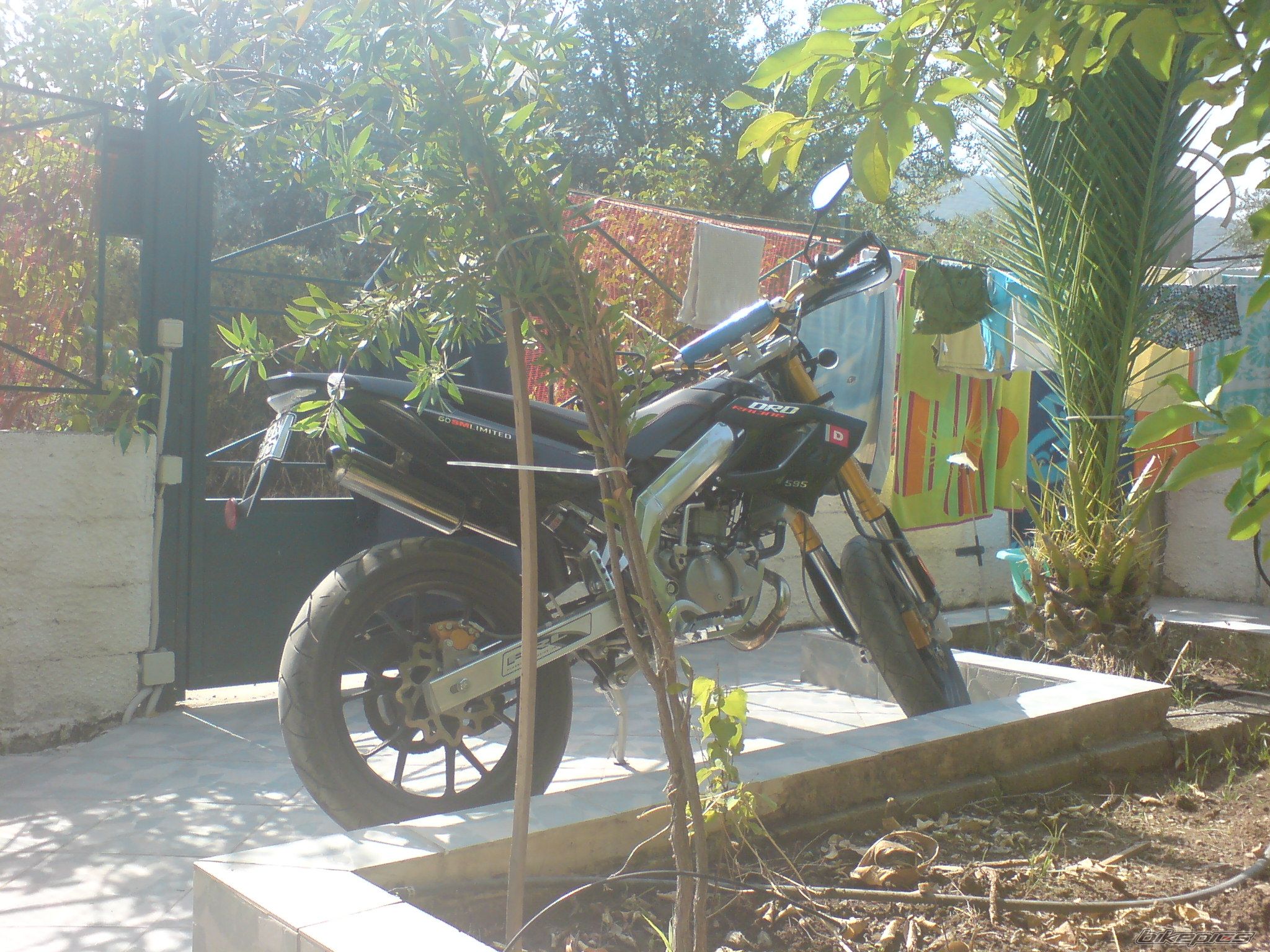 2008 DERBI SENDA DRD SM 50 | Picture 1512992 motorcycle photo