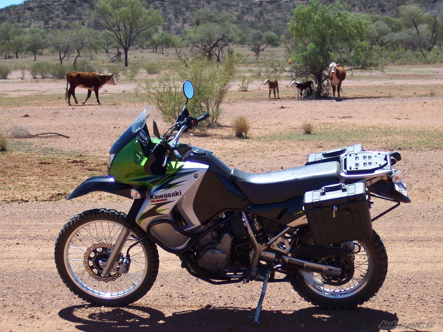 2008 KAWASAKI KLR 650 | Picture 1513797 motorcycle photo