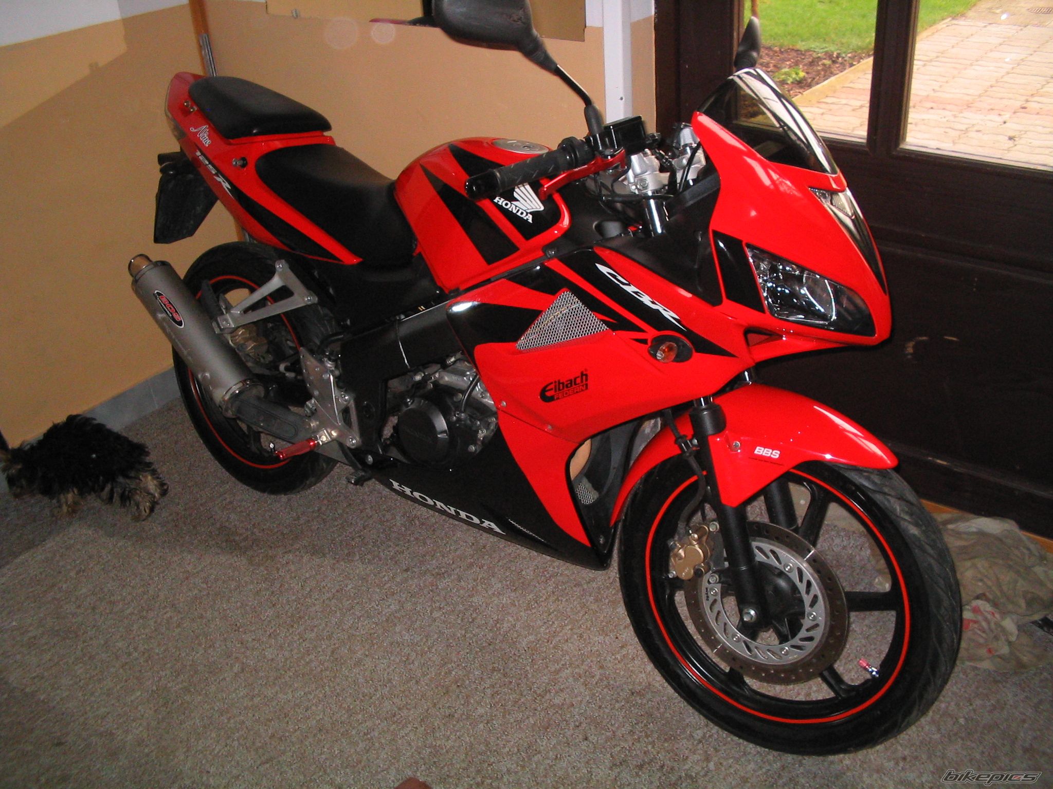 2008 HONDA CBR 125 | Picture 1514022 motorcycle photo