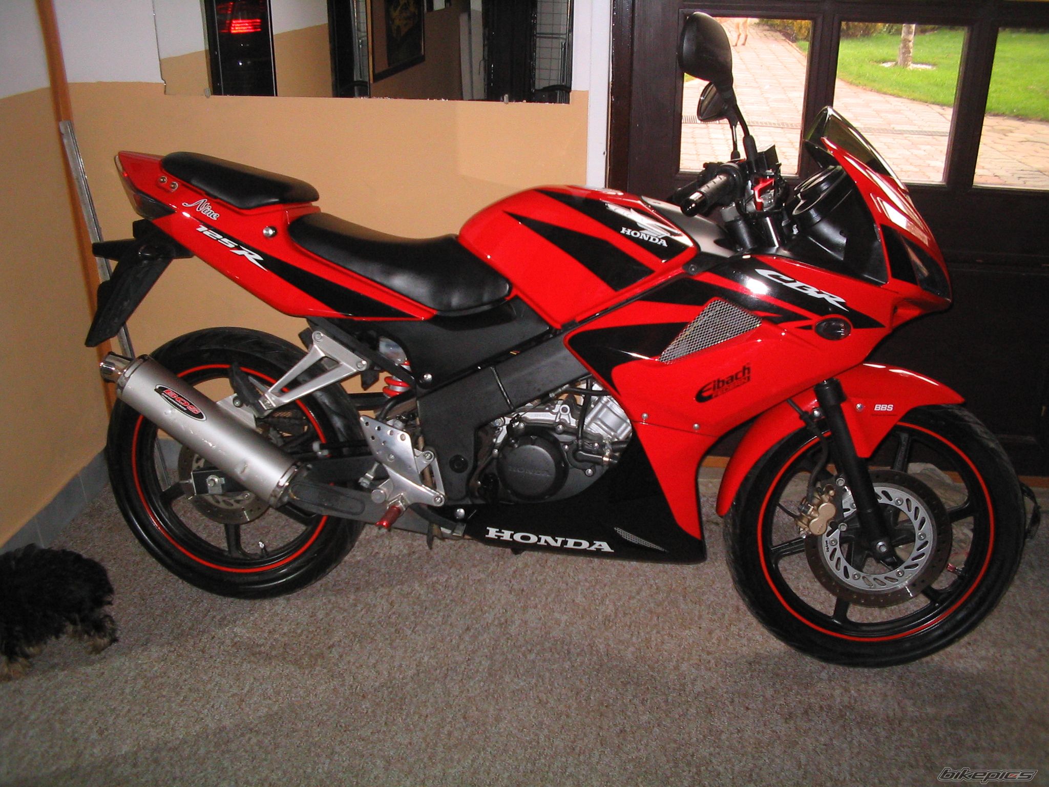 2008 HONDA CBR 125 | Picture 1514024 motorcycle photo