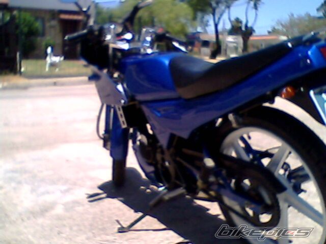 1998 KAWASAKI KS 100 | Picture 1514151 motorcycle photo