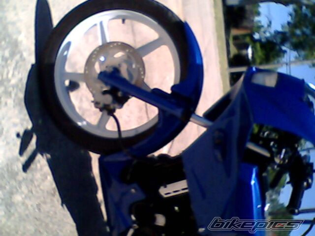 1998 KAWASAKI KS 100 | Picture 1514162 motorcycle photo