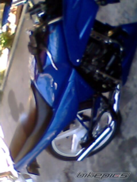 1998 KAWASAKI KS 100 | Picture 1514183 motorcycle photo