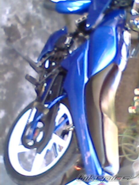 1998 KAWASAKI KS 100 | Picture 1514188 motorcycle photo