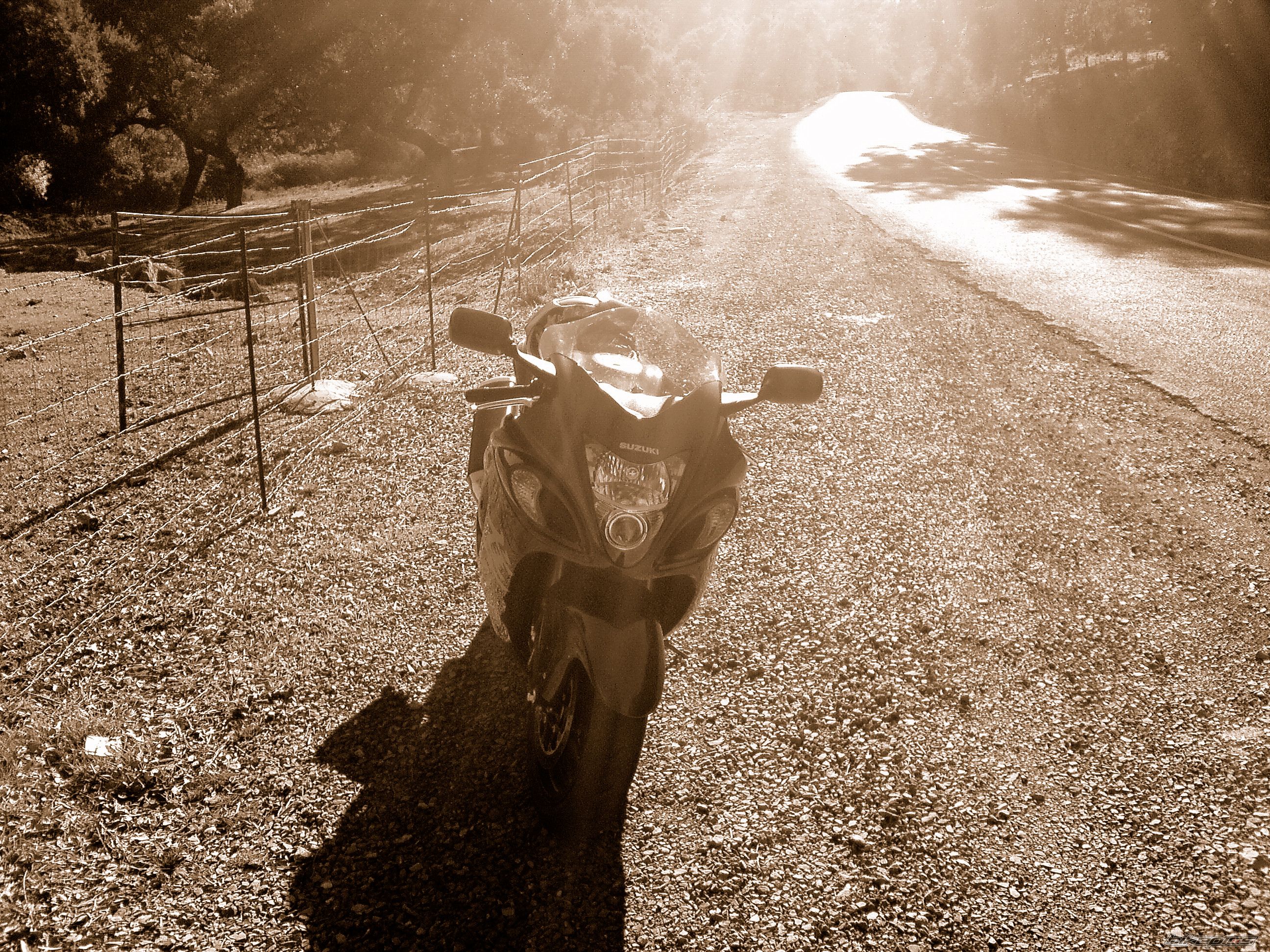 2008 SUZUKI HAYABUSA | Picture 1514276 motorcycle photo