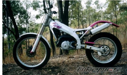 1993 YAMAHA TY 250 | Picture 1514605 motorcycle photo