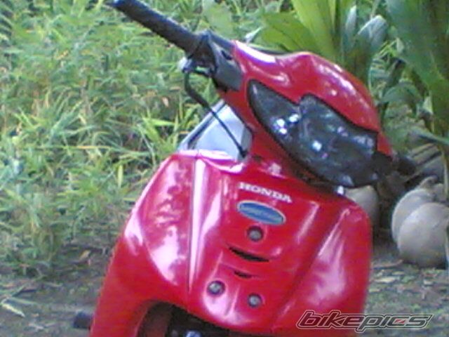 2009 HONDA WAVE ALPHA 100 | Picture 1514741 motorcycle photo
