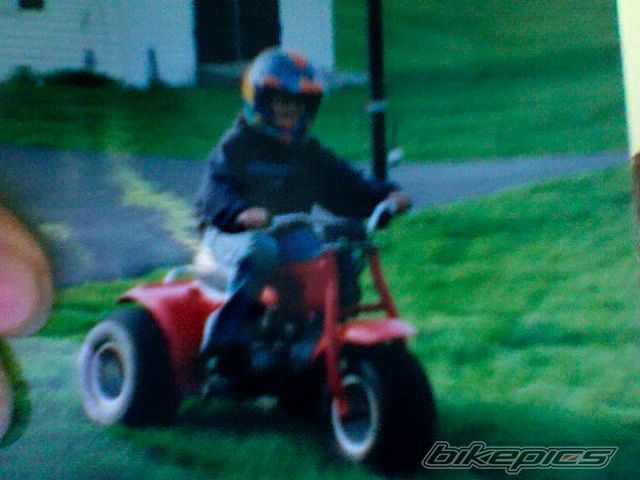 1984 HONDA ATC 70 | Picture 1515809 motorcycle photo