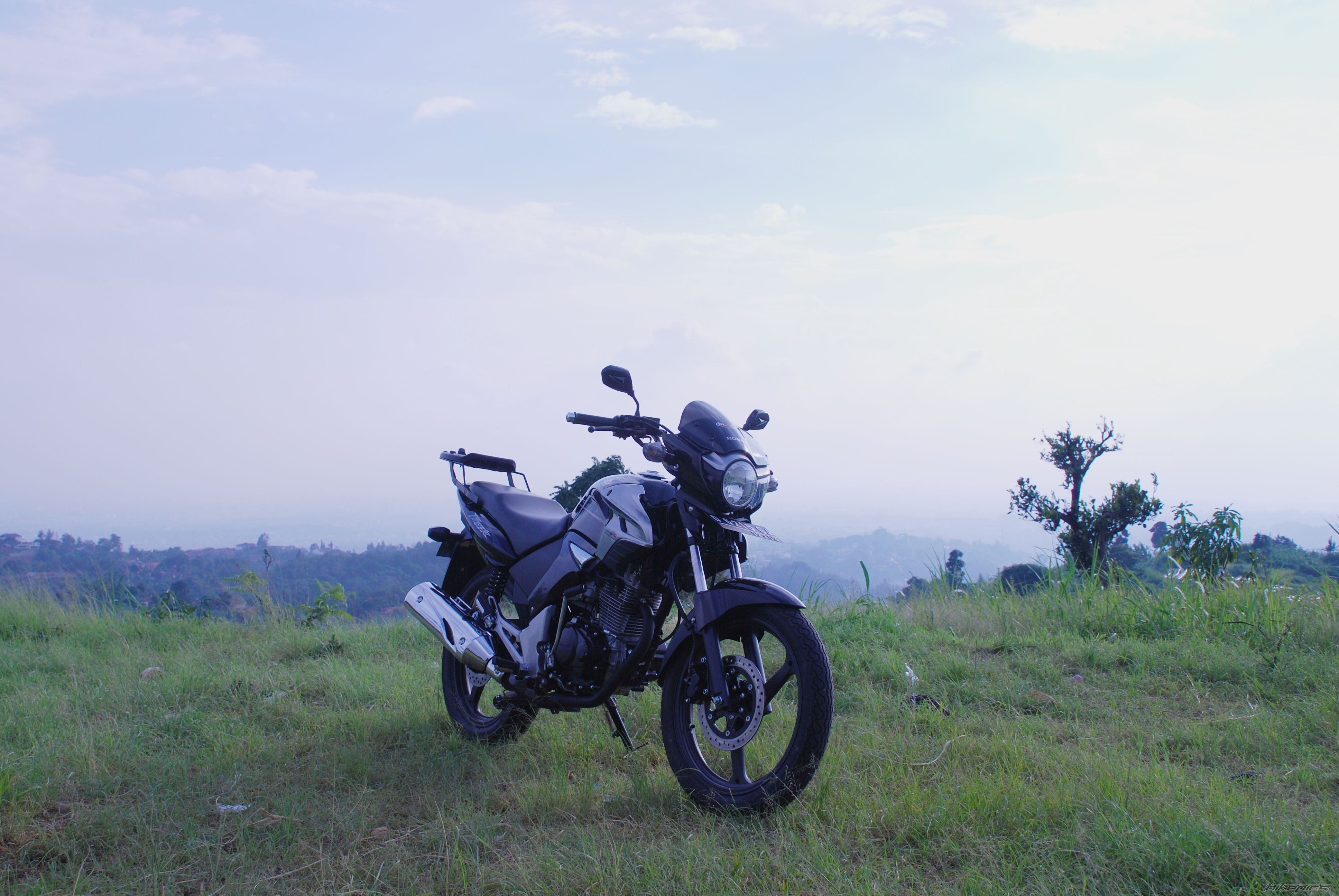2008 HONDA TIGER | Picture 1516133 motorcycle photo