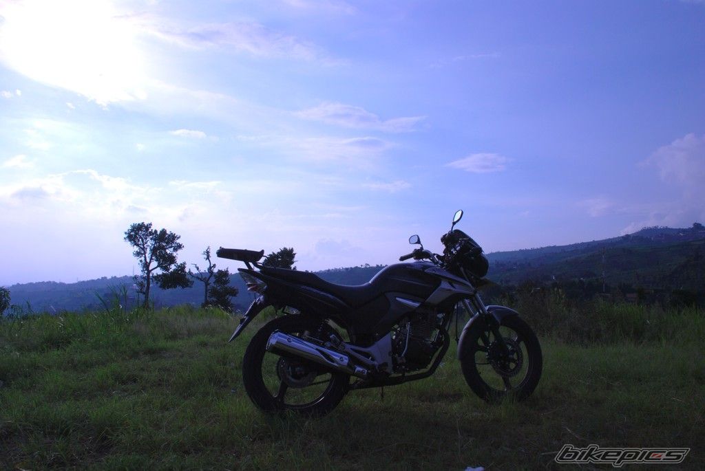 2008 HONDA TIGER | Picture 1516136 motorcycle photo