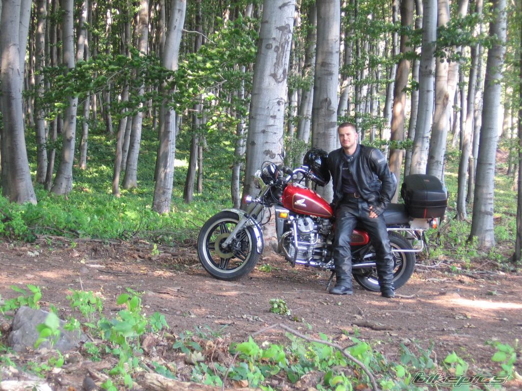 1984 HONDA CX500 | Picture 1516226 motorcycle photo