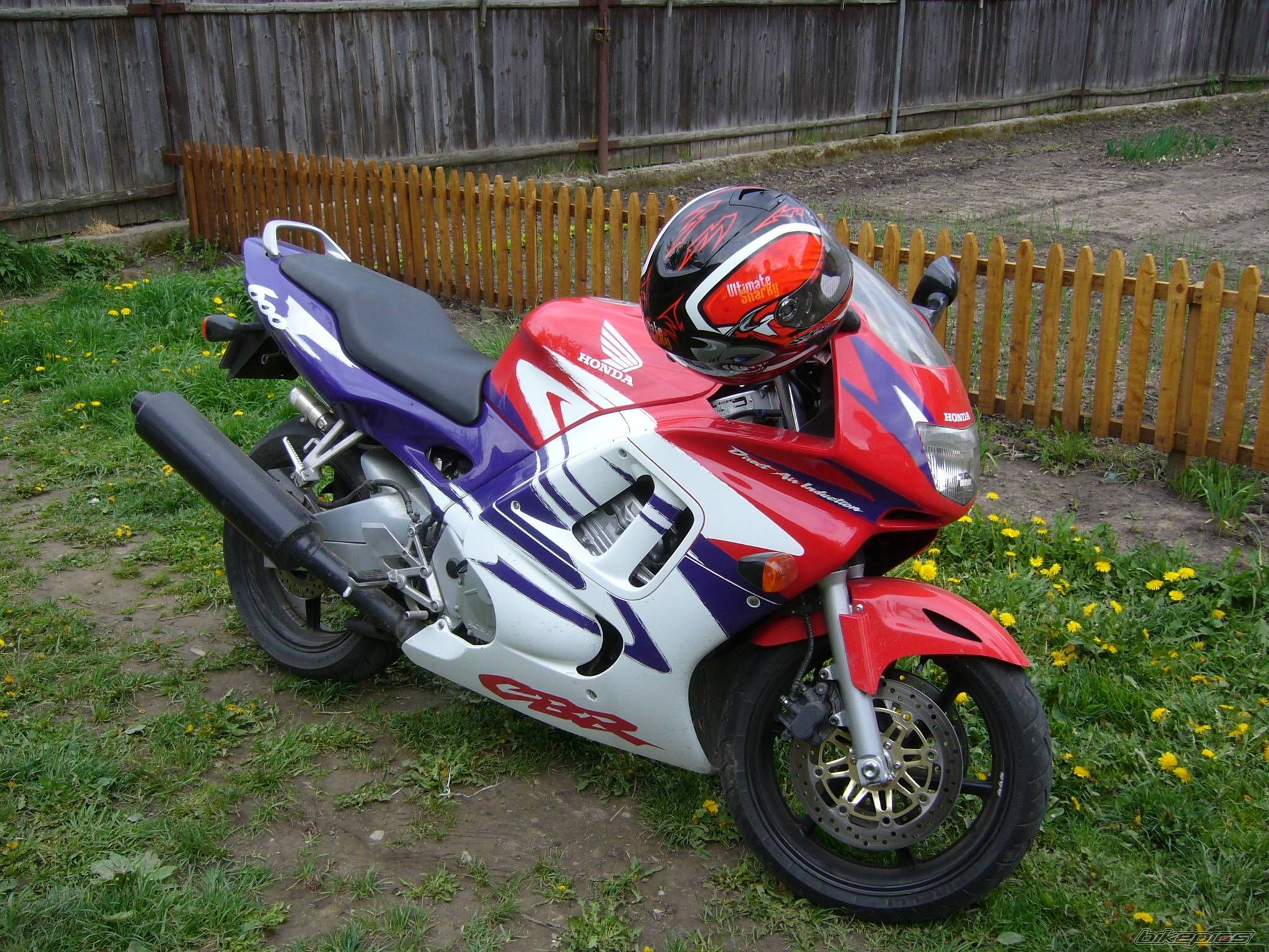 1998 HONDA CBR 600 | Picture 1516262 motorcycle photo