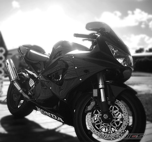 2001 HONDA CBR 900 | Picture 1516389 motorcycle photo