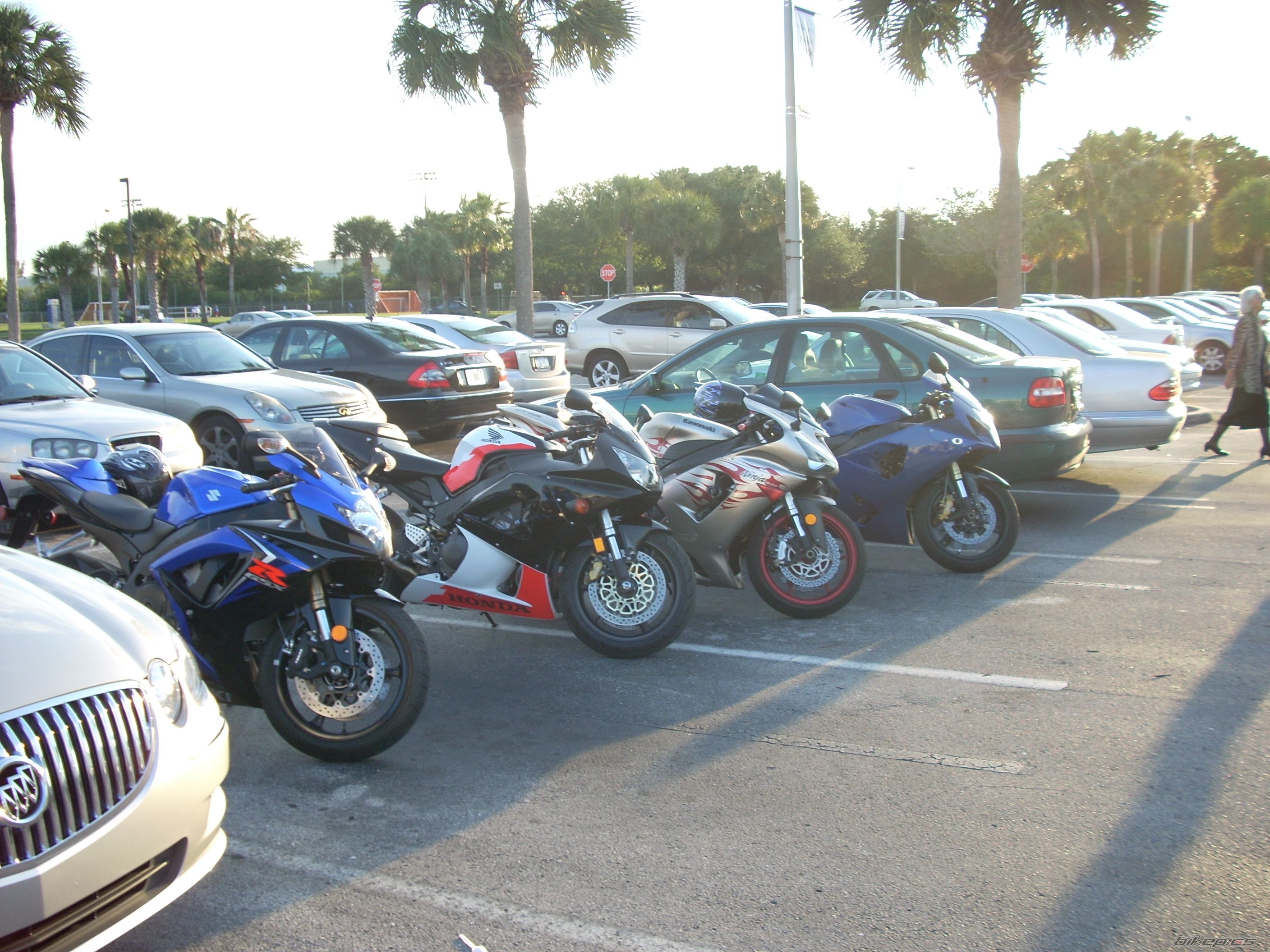 2001 HONDA CBR 900 | Picture 1516409 motorcycle photo