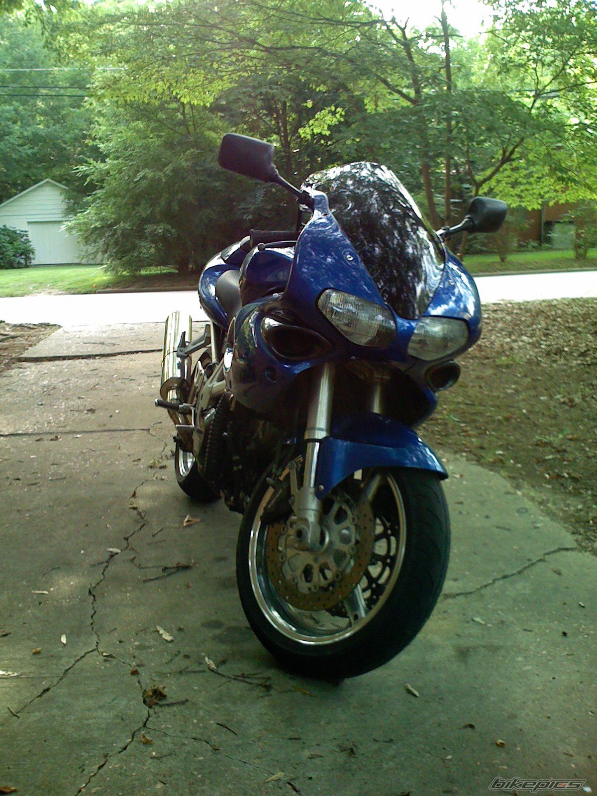 2001 SUZUKI TL1000S | Picture 1516620 motorcycle photo
