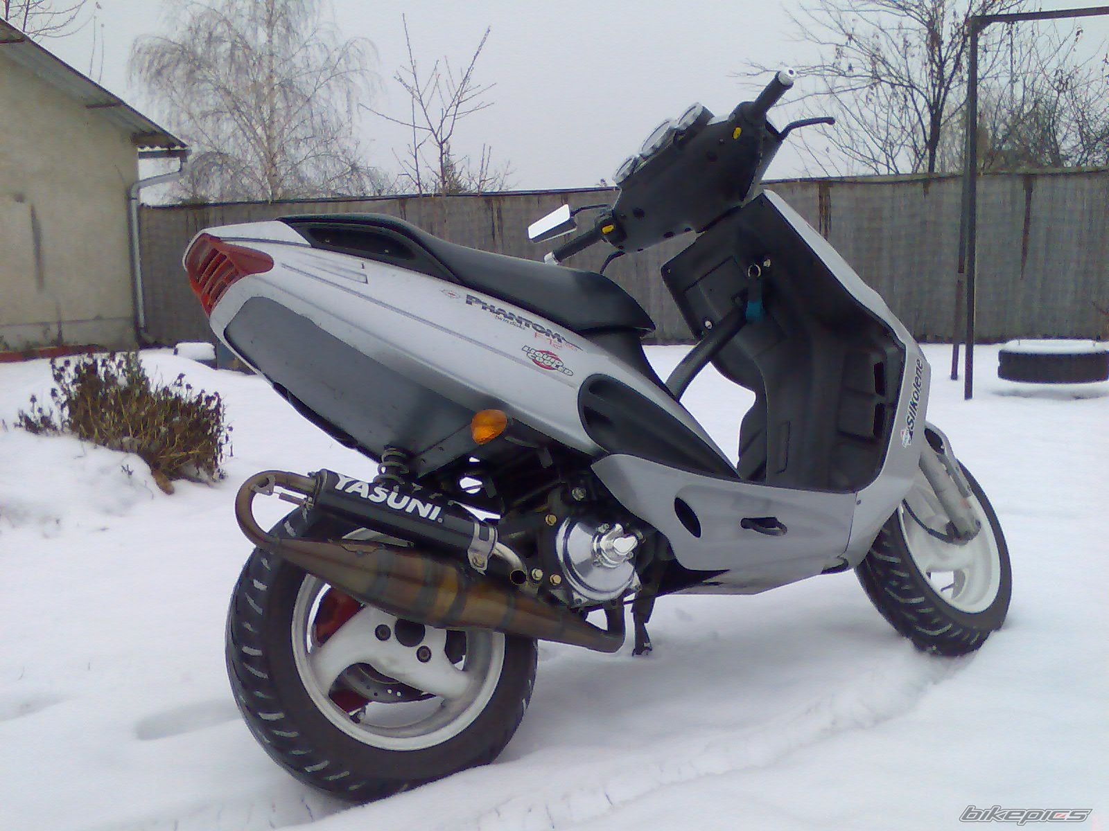 2008 MALAGUTI F 12 50 | Picture 1517325 motorcycle photo