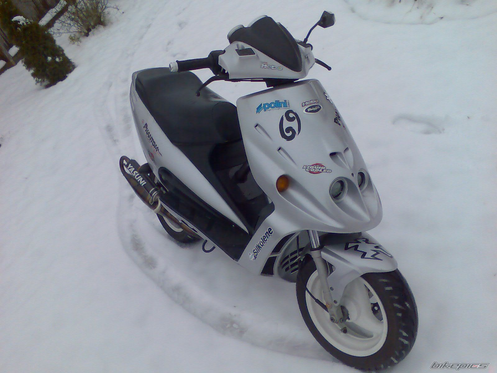 2008 MALAGUTI F 12 50 | Picture 1517334 motorcycle photo