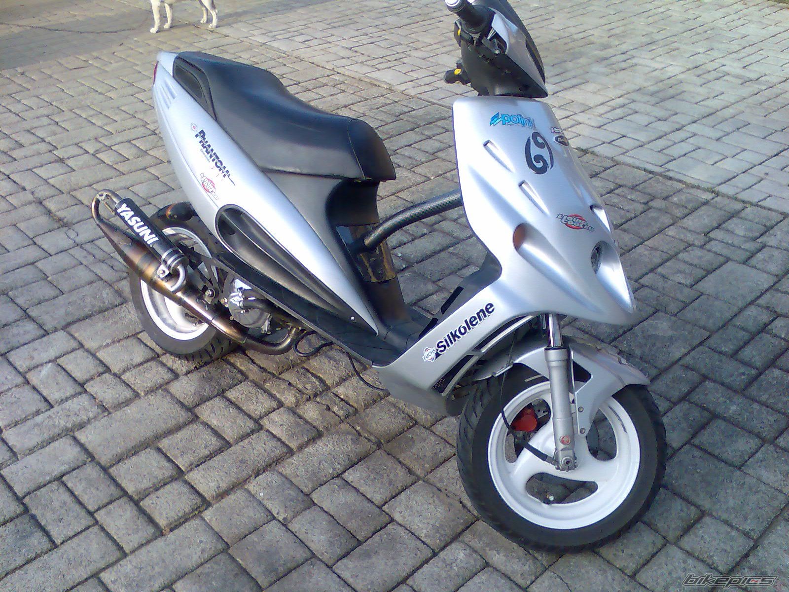 2008 MALAGUTI F 12 50 | Picture 1517338 motorcycle photo