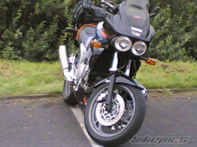 1995 YAMAHA TDM 850 | Picture 1518457 motorcycle photo