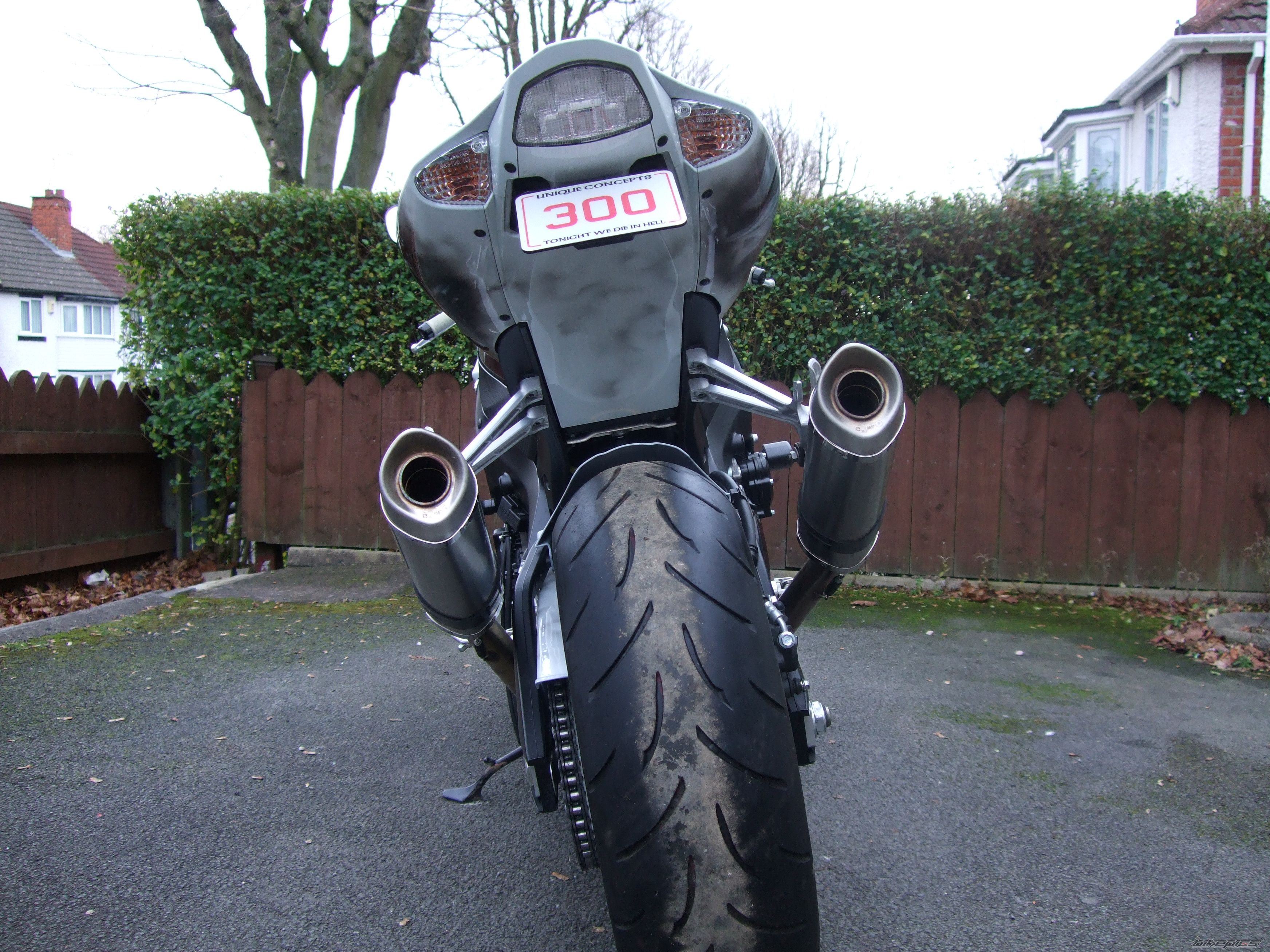2008 SUZUKI GSX R 1000 | Picture 1518533 motorcycle photo