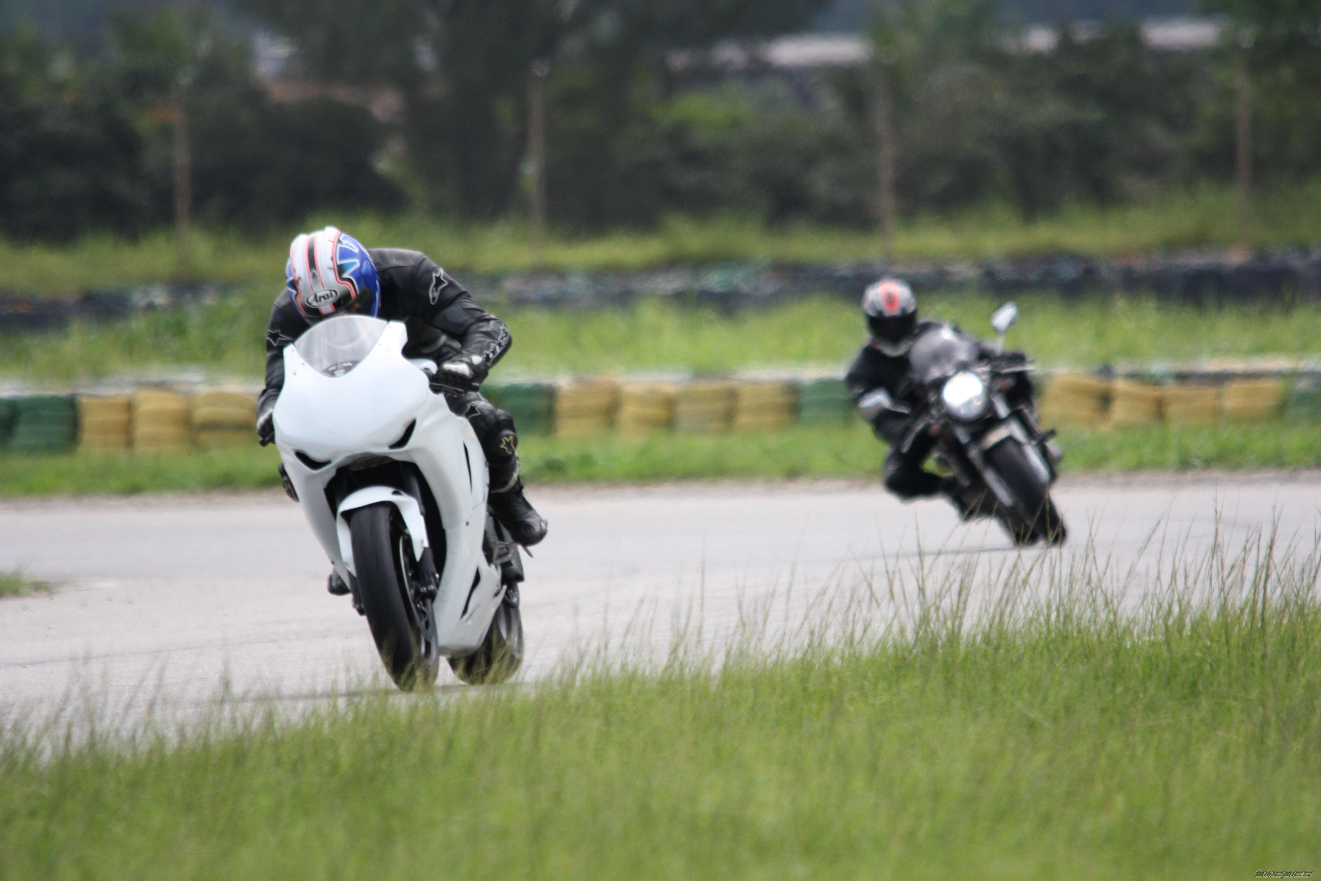 2008 HONDA CBR 1000  RR | Picture 1518740 motorcycle photo