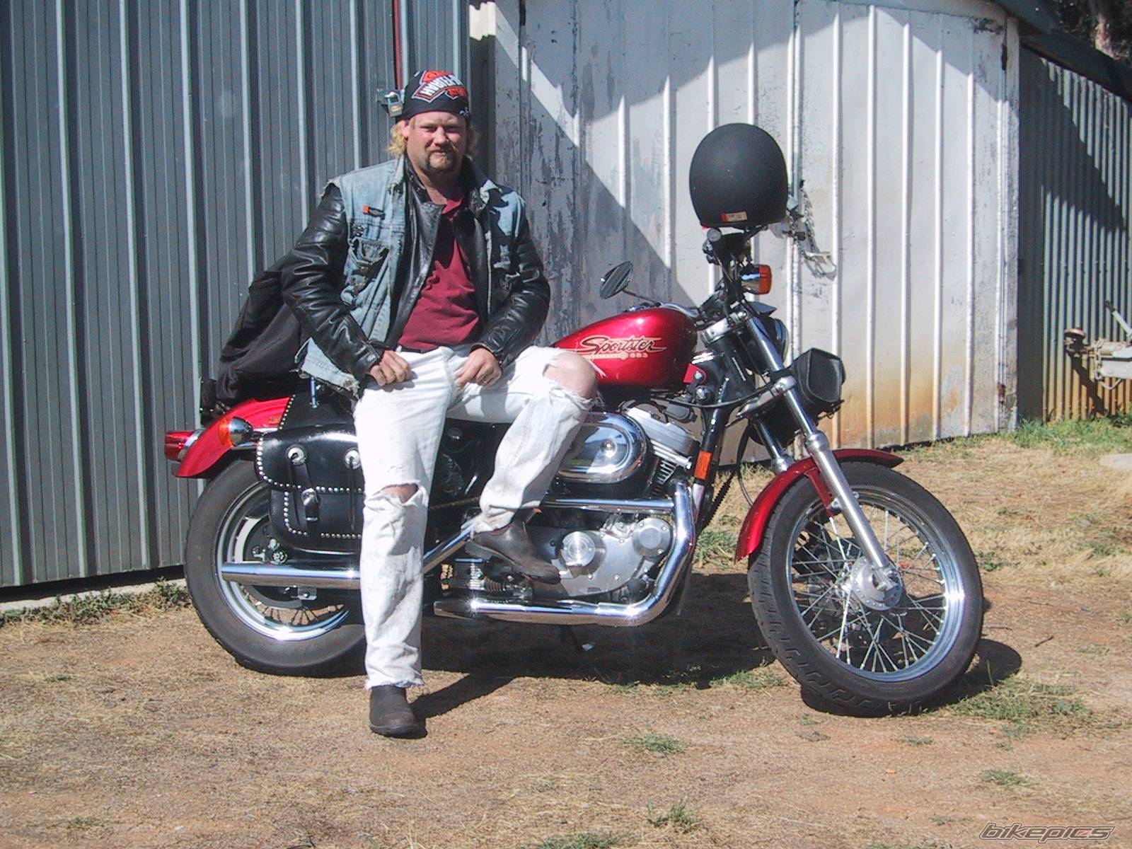 1998 HARLEY DAVIDSON XLH 883 | Picture 151904 motorcycle photo