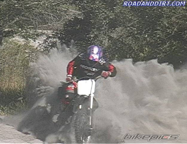1998 HONDA CR 250 | Picture 15192 motorcycle photo