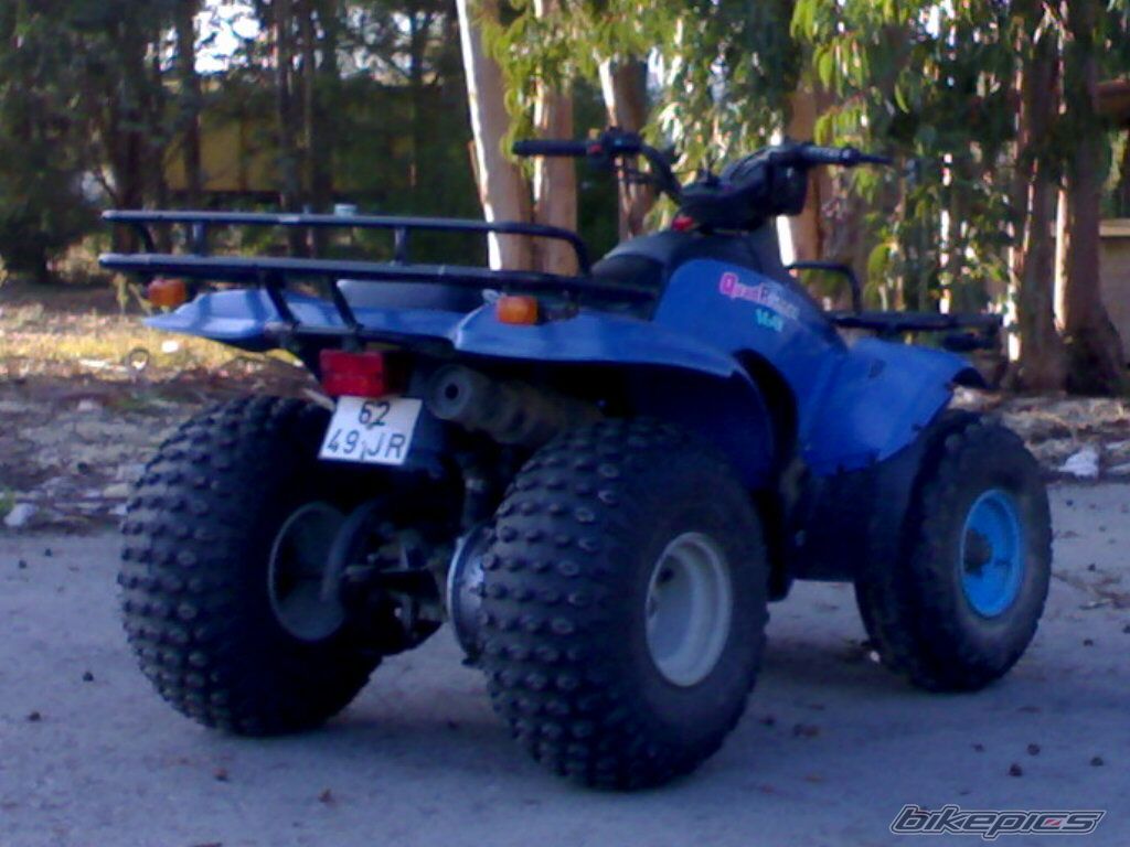 1998 SUZUKI Q. RUNNER 160 | Picture 1519373 motorcycle photo