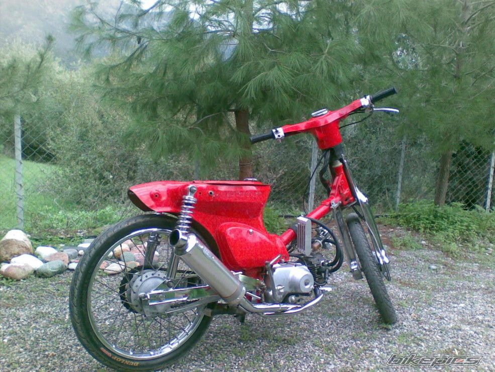 2008 HONDA C 50 | Picture 1519419 motorcycle photo