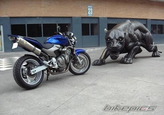2002 HONDA CB 900 | Picture 1521005 motorcycle photo